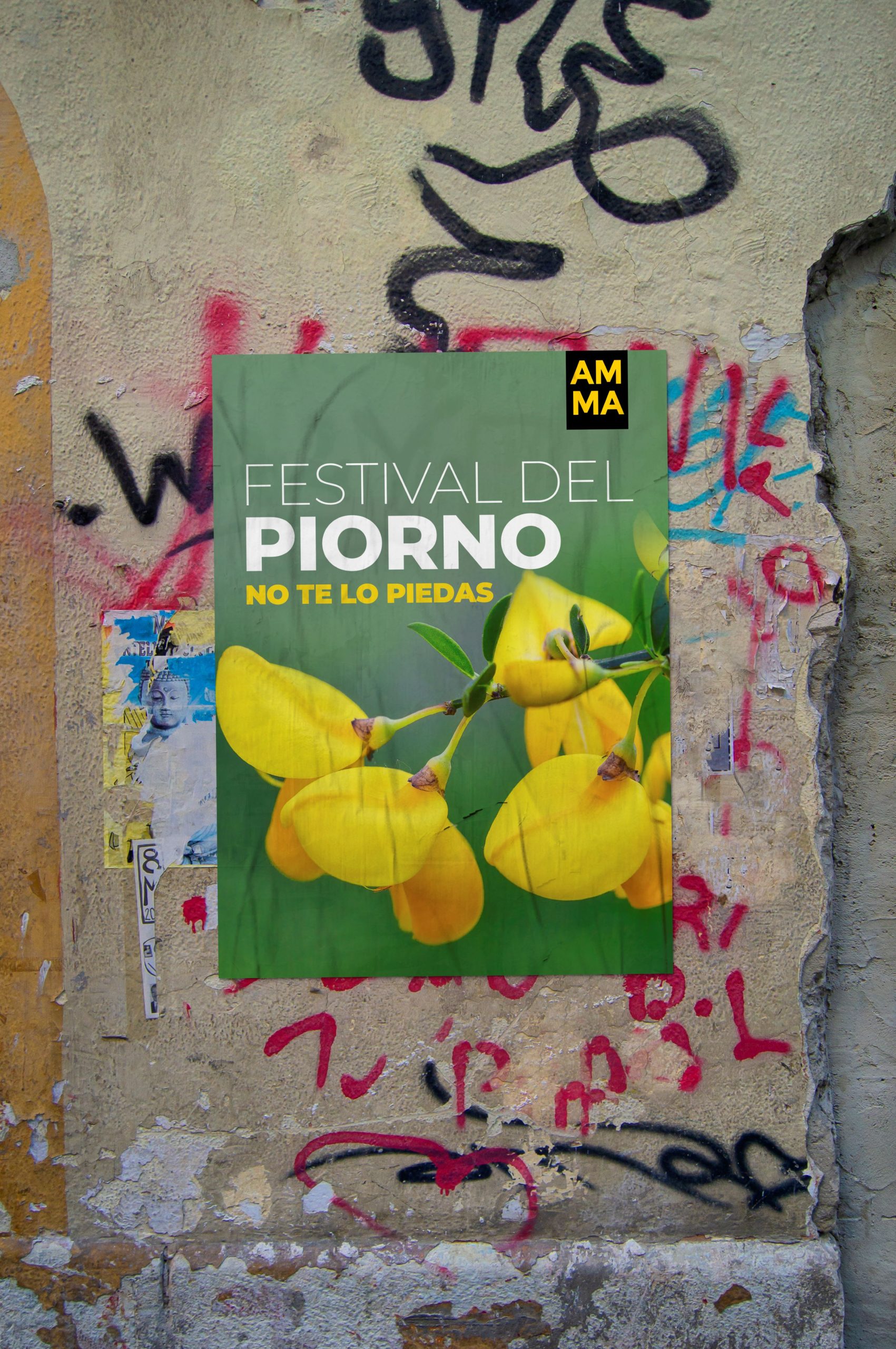cartel